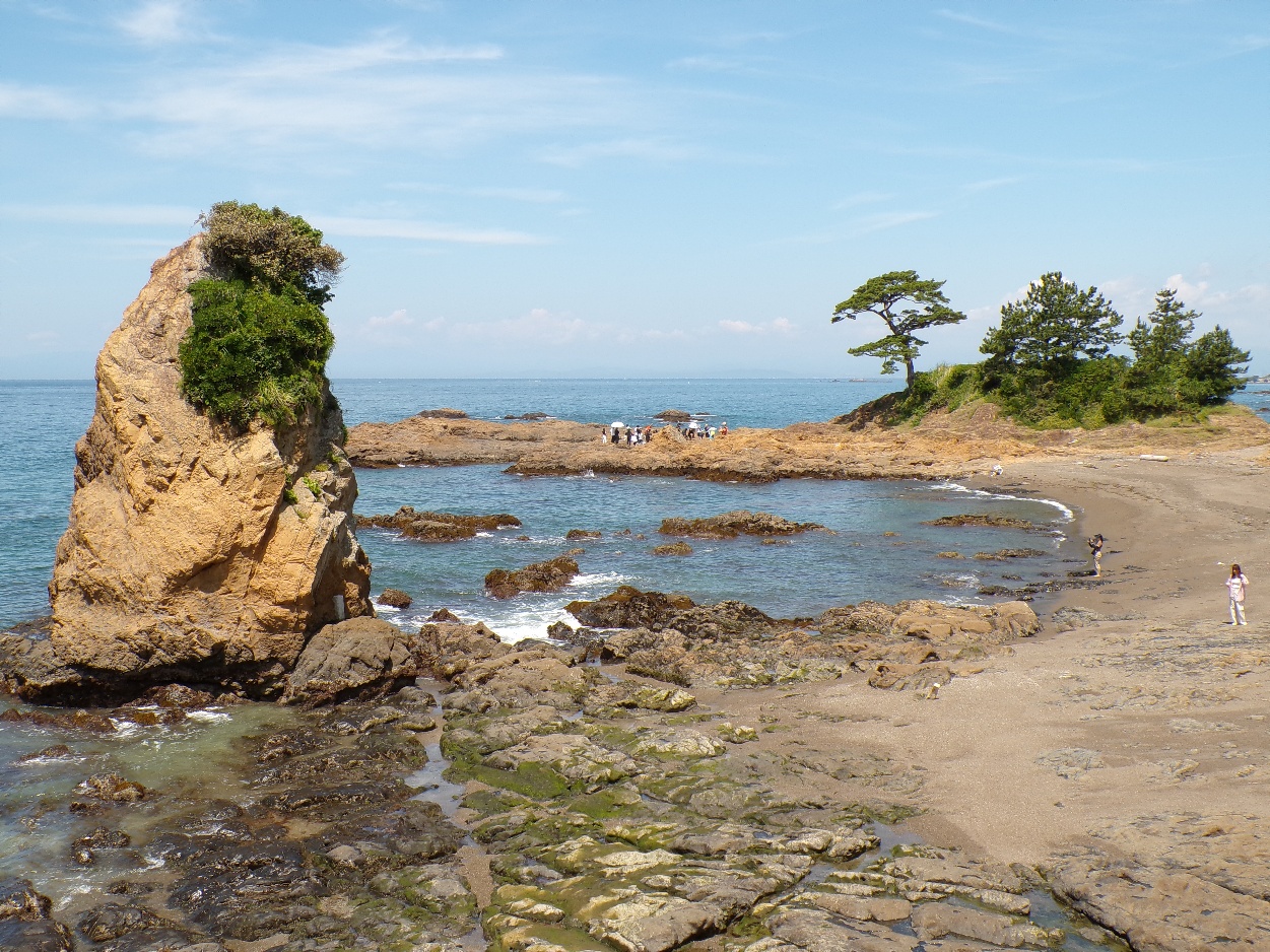 写真