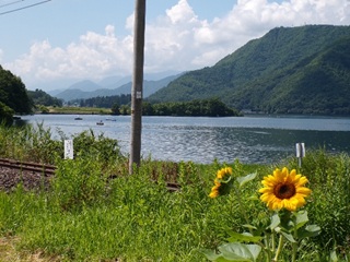 写真